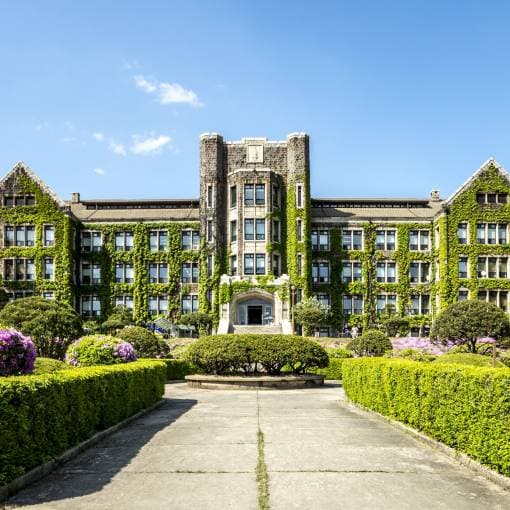 명문대학교 독점 자리 패스트푸드 창업